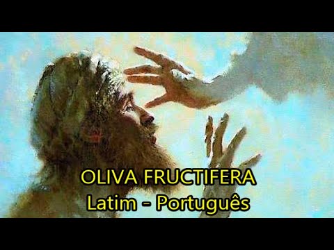 Oliva Fructifera - Canto cisterciense - LEGENDADO PT/BR