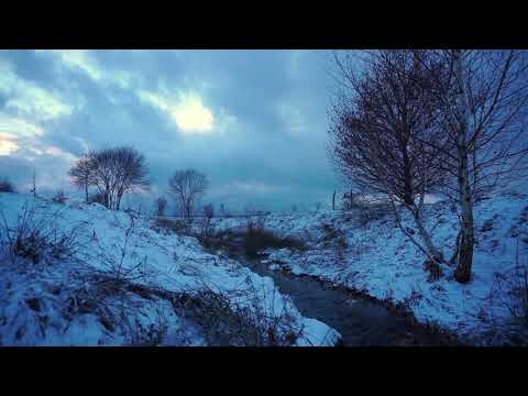 Naturgeräusche im Winter- Wasser - Vogelgezwitscher - Full HD