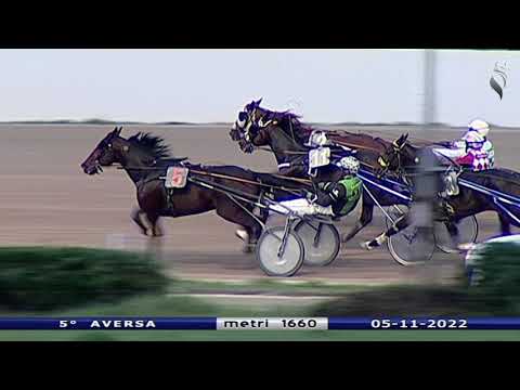 Aversa trotto 5 Novembre 2022 - 5° Corsa
