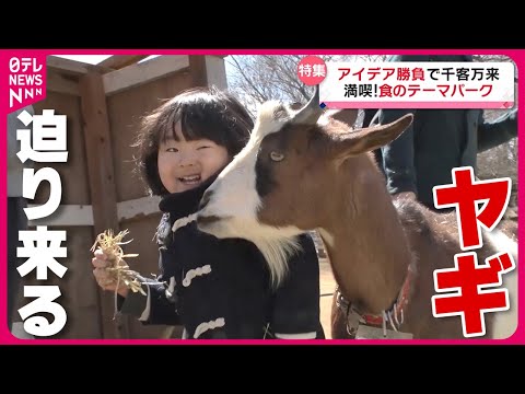 【動物王国】エサやり体験に大興奮!観光牧場のびっくり名物“１０人前プリン”の味は？「食のテーマパーク」『every.特集』 Video