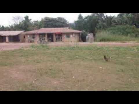 EYI MEZUI ME NDONG MVET 2