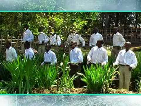 Nyantende - Cici Narhula