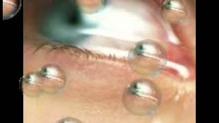 Casi indispensable Paulina Laponte