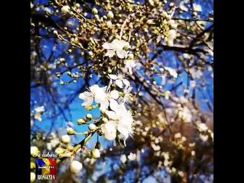 Priveste Doamne acest pamant - 27 April 2023