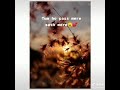 Tum Ho Pass Mere Saath Mere Ho Rum Yuh WhatsApp Status