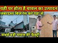 यही पर होता है चावल का उत्पादन Rice Mill Factory How