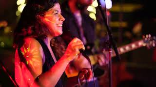 Jungel Ferns - Party Band