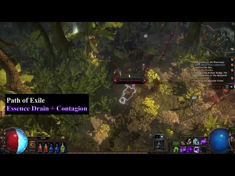 POE: Essence Drain + Contagion