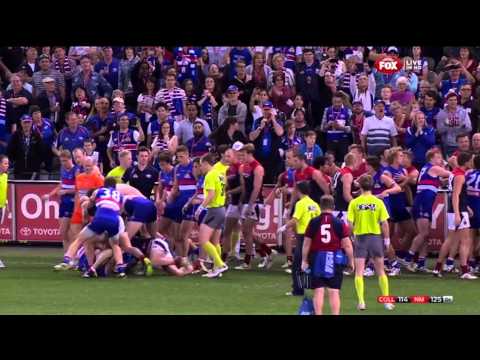 dogs v dees halftime melee rnd 23 2013