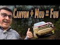 Auto Buyers Guide