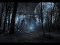 Scott Buckley - Discovery🎼