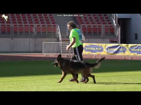 1095 Bolz von der Grafenburg (Ost) - TSB BSZS-2023