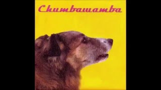 Chumbawamba - Pass It Along