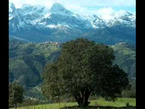 cherif hamani - Intas i yemmas