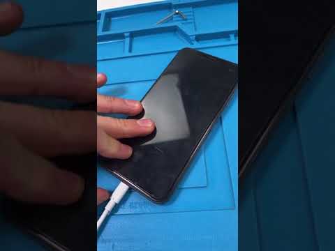 Phone Stopped Working After Water Damage? Don't Freak Out #Shorts