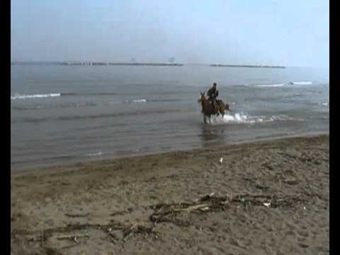 cavalcata nel mare