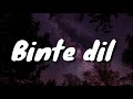 Binte dil - Janalynn Castelino ( Cover ) Lyrics !