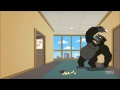 Gorilla Door
