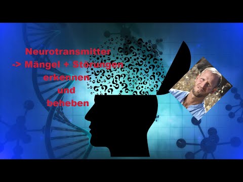 Neurotransmitter: Mängel und Dysbalancen im eigenen Neuro-Haushalt erkennen + Tipps zur Behebung