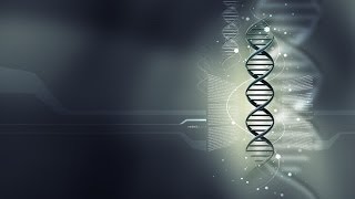 Biologia 11 - Il DNA e le sue proprietà