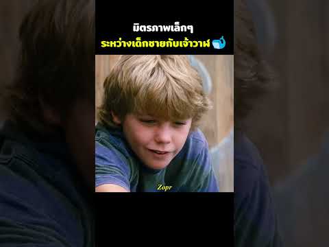 มิตรภาพเล็กๆ ระหว่างเด็กชายกับเจ้าวาฬ🐋 #รีวิวหนัง #movie #สปอยหนัง #shorts
