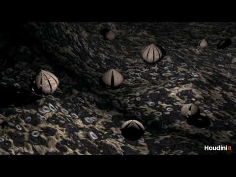 Houdini Empty