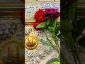 Eid E Ghadeer 18 Zilhajj New Manqabat Mir Hassan Mir Status