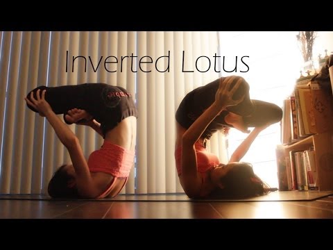 Plough/Plow, Shoulder Stand, Inverted Lotus | Yoga Journey