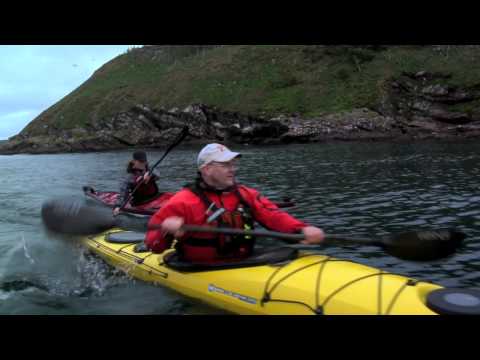 Kayaking with Whales: Newfoundland and Labrador Tourism