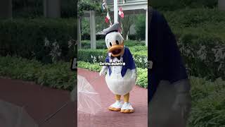 3 Regras da DISNEYLAND que parece brincadeira, mas é real.