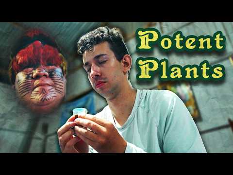 The Ayahuasca You Know is a Lie