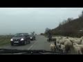 DN19 Negresti Oas Sighetu Marmatiei