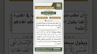 8809 - الواجب على من كان له أخت تزور قبر زوجها -  نور على الدرب image