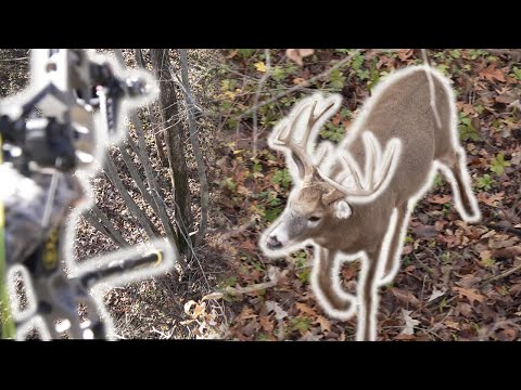 BIG BUCK at 10 yards! (bow hunting the rut)