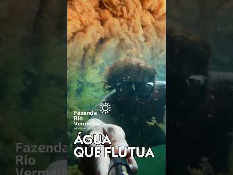 Descubra o Lago e Fervedouro do Léo em Mambaí | Fazenda Rio Vermelho