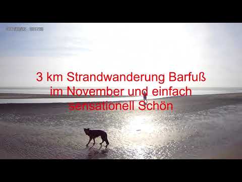 Tiny Kat mit Kiki 5 Ab auf die einsame Insel !