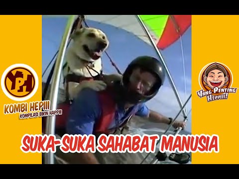 suka-suka-sahabat-manusia