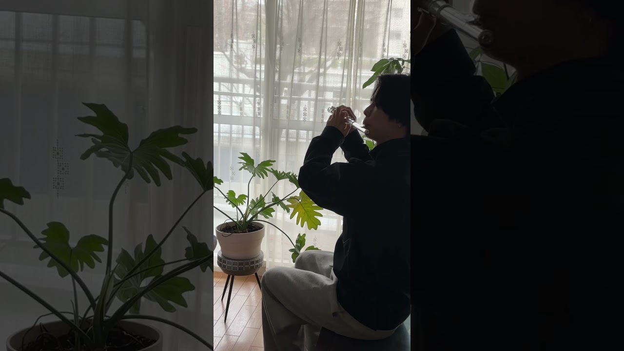 実家帰った 人生のメリーゴーランド #flutemusic #ジブリ #フルート