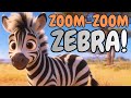Zebra Song Fun Kids Song About Zebras Animal Songs Zoom Zoom Zebra