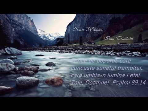 Nicu Wagner-Tu esti nemarginirea