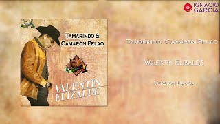 Tamarindo/Camarón Pelao - Valentín Elizalde