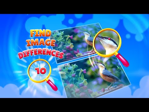 Find Image Difference Video