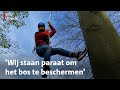 De boom in tegen verbreding A27: actievoerders krijgen speciale klimtraining | RTV Utrecht