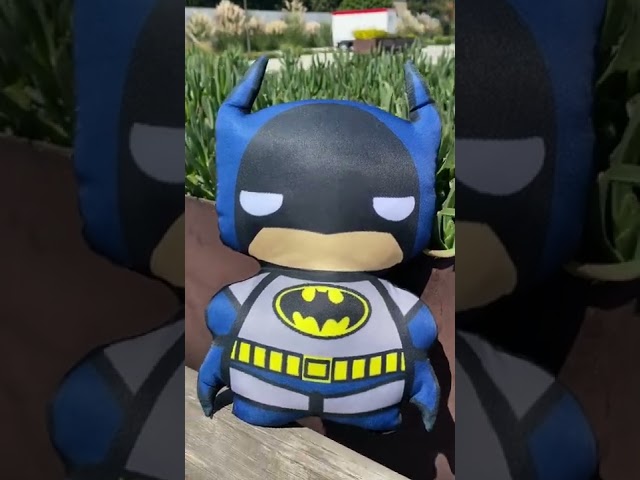 Vídeo relacionado con Genérico Cojín Personalizado con Calendario, Diseño Romántico con Nombres y Fecha, Rosa y Blanco, Decoración del Hogar, Regalo, Parejas, San valentín