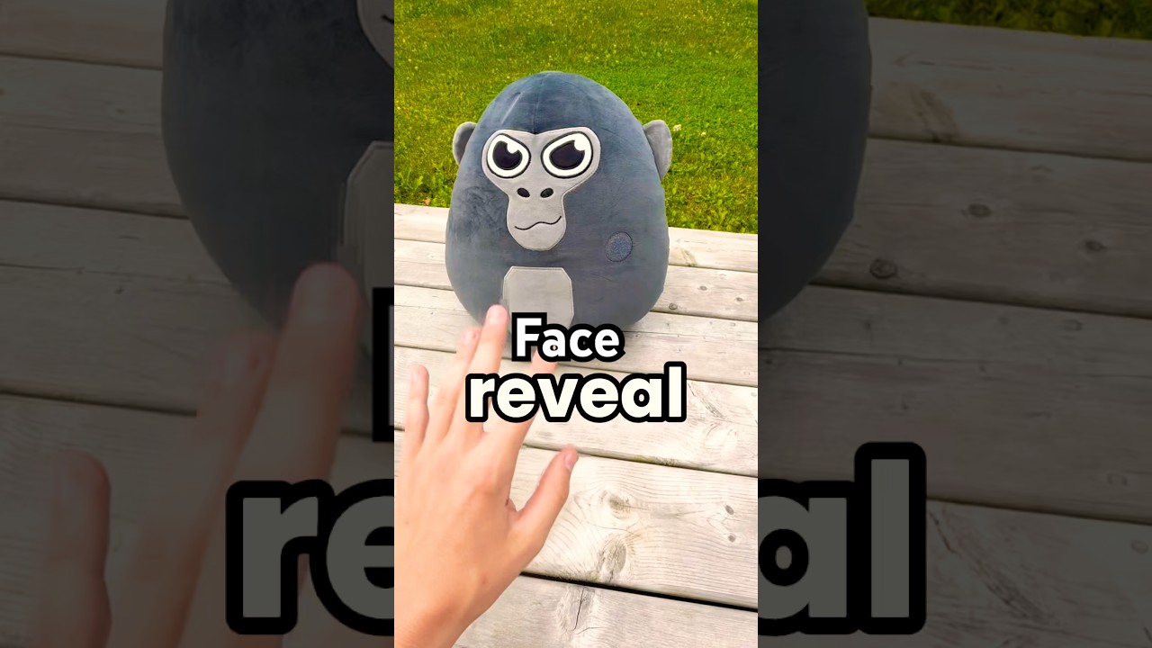 Face reveal! #gorillatag #vr #shorts