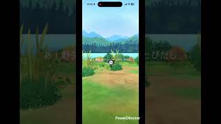ミニアンノーンk #pokemon #ポケgo #pokemongo #ポケモン #pokémon