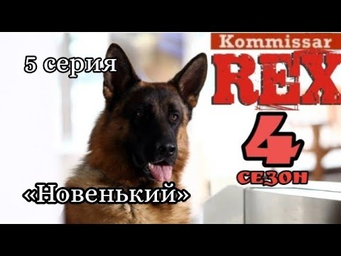 Комиссар Рекс, 4 сезон, 5 серия «Новенький»