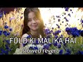 Aane Se Uske Aaye Bahaar Fulo Ki Malika Hai Song Slowedreverb Songlyrics