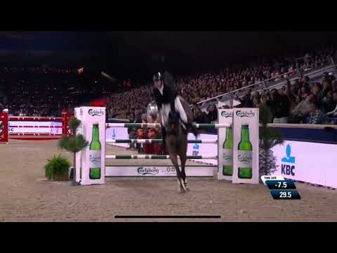 Solidat - Jumpoff Sires of the World 2024 🌎 CSI5*W Mechelen 🇧🇪