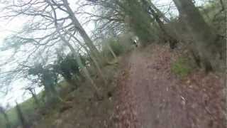 preview picture of video 'Stockcross - Snake Lane to Rookswood (Byway, S-N)'